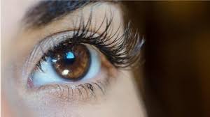 News - Meecil lashes-Biggest eyelash manufacturer in China | Mink effect 3D  Faux Mink lashes supplier|Korean Silk lashes manufacturer|Eyelash Extension  vendor| Magnetic Eyeliner Eyelashwholesaler