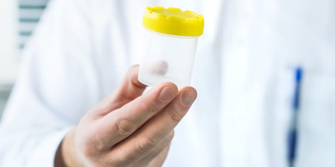 Pre-Employment Drug Testing is Still Widespread - The Drug Test News