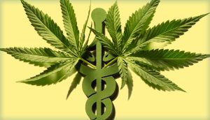 Cannabis Nurses Will Soon Be In Demand | | New Jersey State Nurses  Association