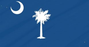 South Carolina Flag Not Official - YouTube