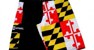 Maryland Flag (Black) / Board Shorts